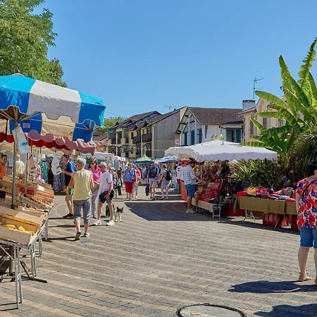 T1 Bis Avec Jardin Et Animaux Admis à Barbotan, Parking, Wifi - Fr-1-841-64 * Barbotan-les-Thermes