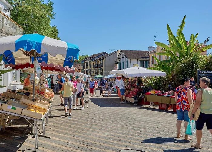 T1 Bis Avec Jardin Privatif A - Fr-1-841-64 * Barbotan-les-Thermes